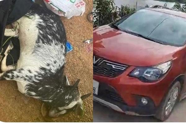 Gia đình 3 công an bắn chết dê bồi thường người dân 20 triệu đồng-2