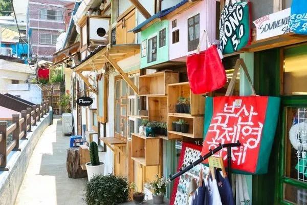 Ngắm cánh đồng hoa giấy rực rỡ sắc màu ở Anh-1