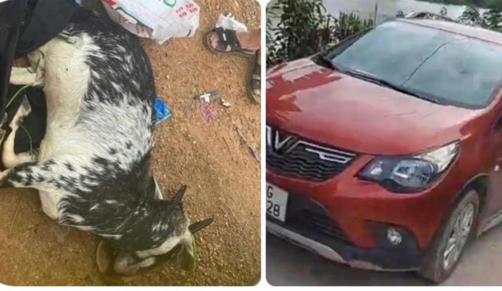 Gia đình 3 công an bắn chết dê bồi thường người dân 20 triệu đồng-1