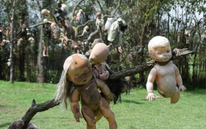 Lạnh sống lưng với những hòn đảo đáng sợ nhất thế giới-1