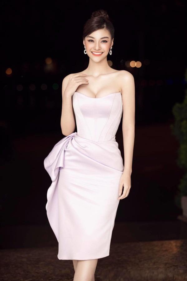 Tranh cãi không hồi kết việc các Hoa hậu, Á hậu thừa nhận phẫu thuật thẩm mỹ-3