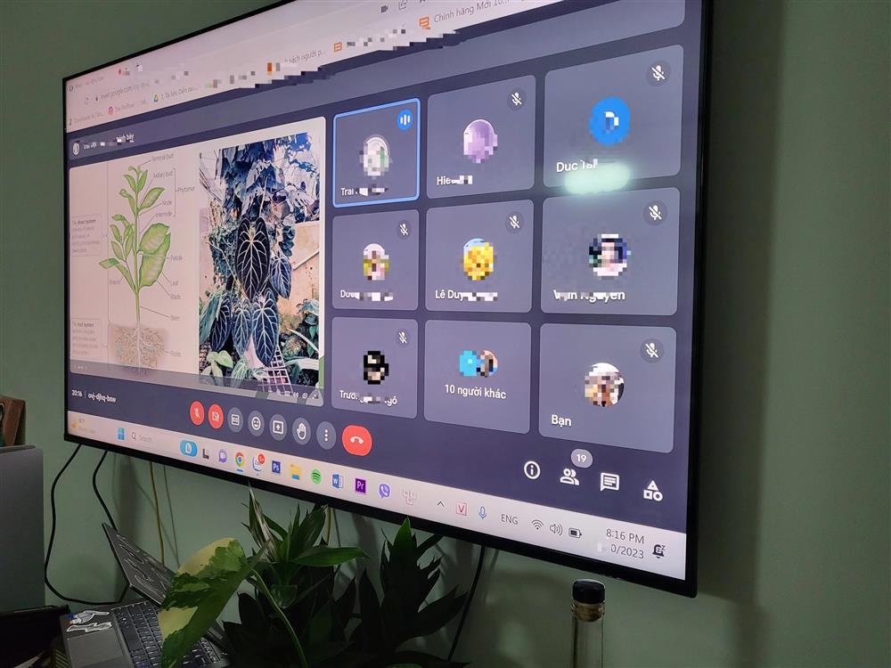 Xin tiền vợ mua lá kiểng độc lạ 25 triệu đồng/lá, chăm cây như con-4