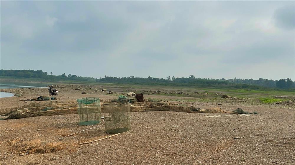 Nhóm 11 đối tượng trói, đánh 2 kiểm lâm viên ở Đồng Nai-2