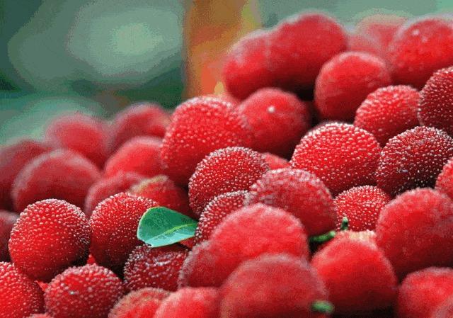 Bảo vật ăn một quả đáng giá ngàn vàng, hút lượng lớn khách Á-Âu-1