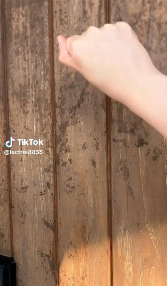 Sơn Tùng đăng ảnh mừng tuổi mới, vị trí của Hải Tú gây chú ý-6