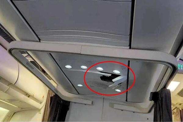 Vì sao tiếp viên hàng không thường mang một quả chuối lên máy bay?-2