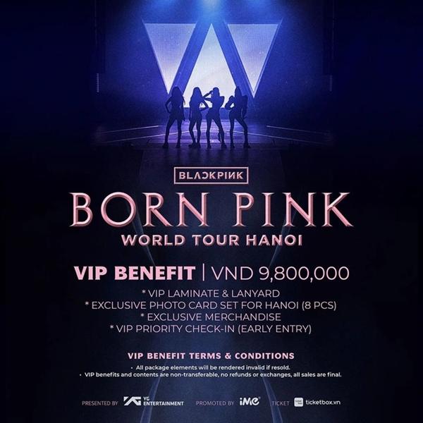 Chấp nhận chịu lỗ, fan Việt nhượng lại suất mua vé, bán gậy cổ vũ BlackPink-1