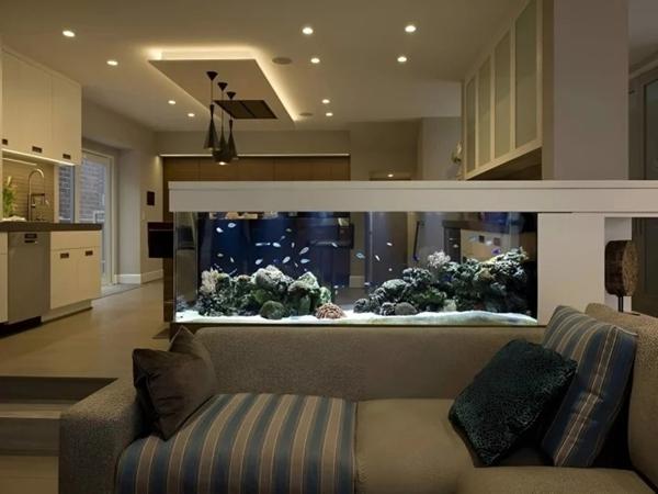 Đặt bể cá cảnh trong nhà có tốt không?-2