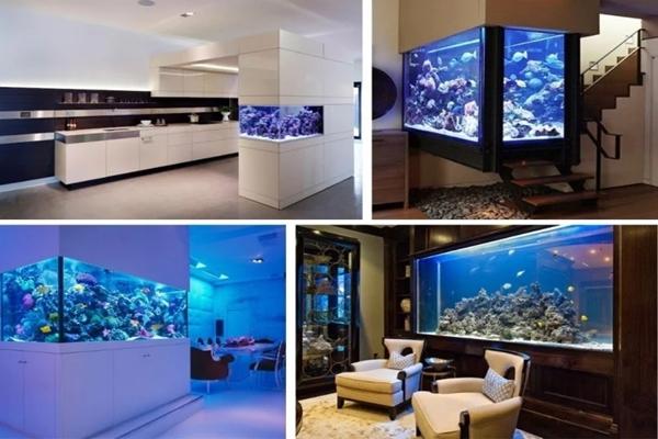 Có nên đặt bể cá trong phòng ngủ?-3