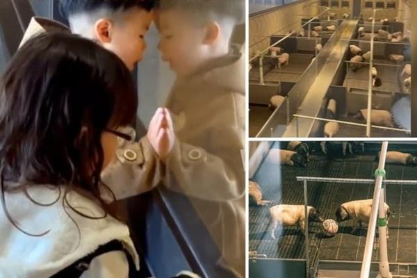 Chùm ảnh: Những bát mì view triệu đô chất như nước cất ở Việt Nam-22