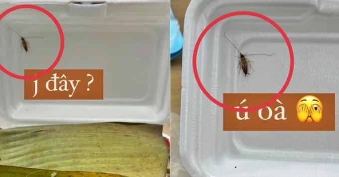 Bị tố có gián trong suất ăn, quán ăn ở TPHCM đáp trả khách gây tranh cãi-1