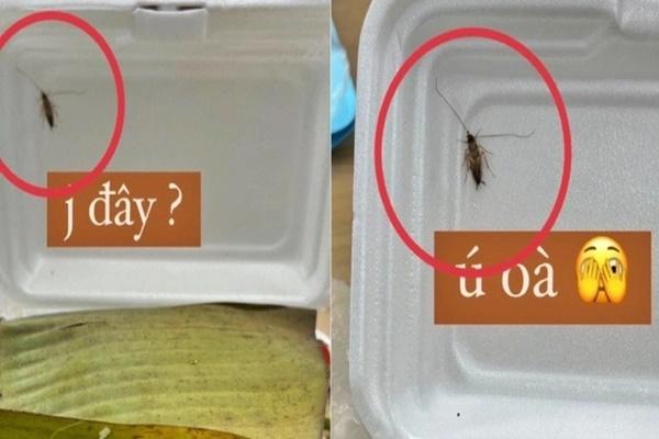 Hà Nội: Suất ăn bán trú 32.000 đồng lèo tèo cá, rau, hiệu trưởng nhận lỗi-4