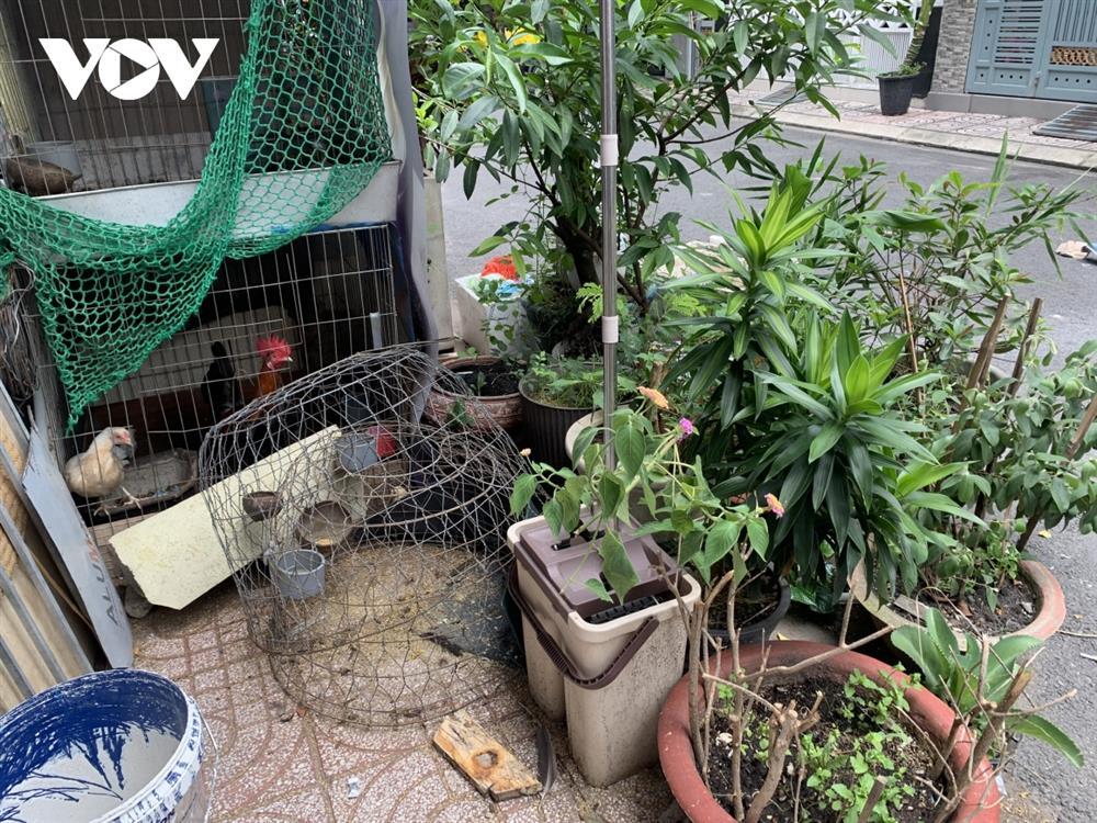 Dịch tay chân miệng chồng dịch sốt xuất huyết ở TP.HCM-3