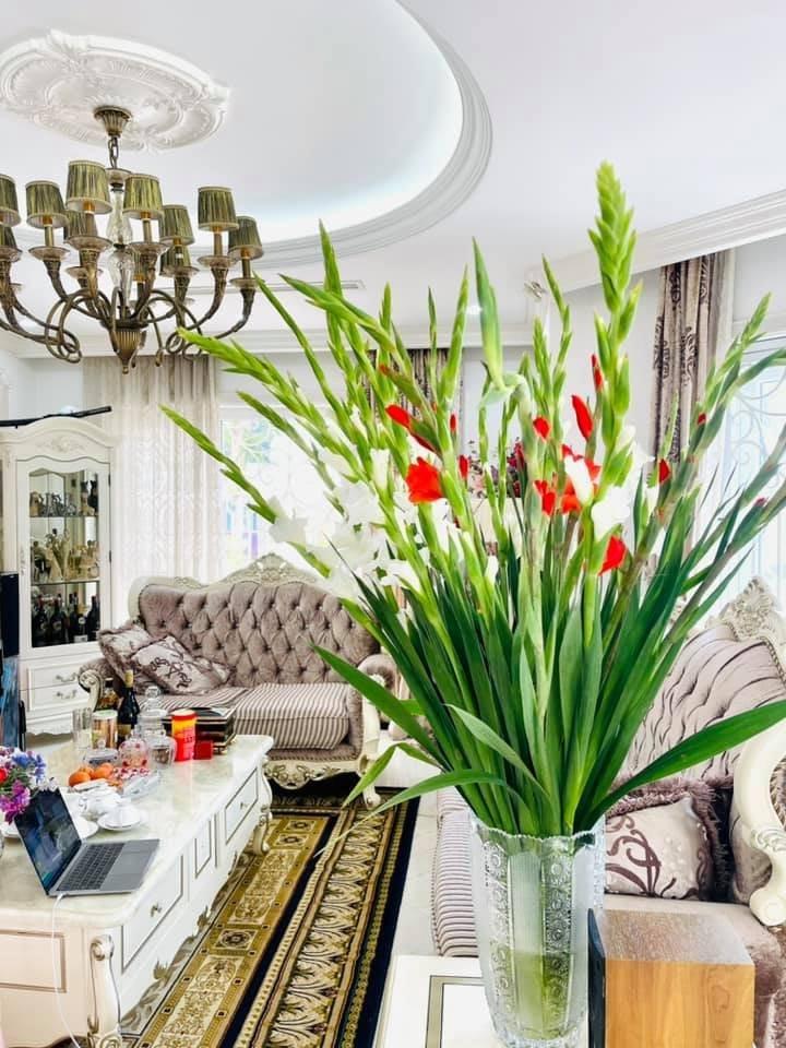 Hoàn tất ly hôn, vợ cũ Shark Bình lập tức mua đất xây làng rộng hơn 5 hecta, đặt tên đặc biệt gây chú ý-6