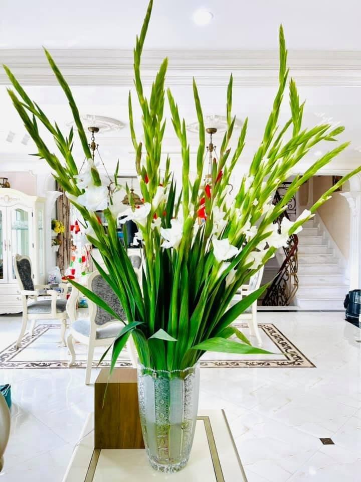 Hoàn tất ly hôn, vợ cũ Shark Bình lập tức mua đất xây làng rộng hơn 5 hecta, đặt tên đặc biệt gây chú ý-5