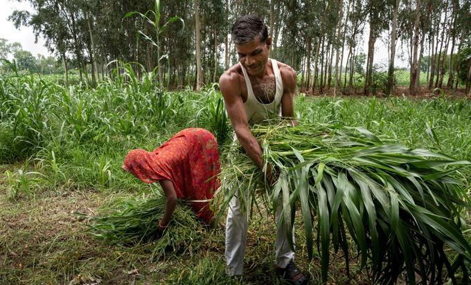 Mùa hè chết chóc ở ngôi làng Ấn Độ: Nóng gần 50 độ C không quạt, không điều hòa-3