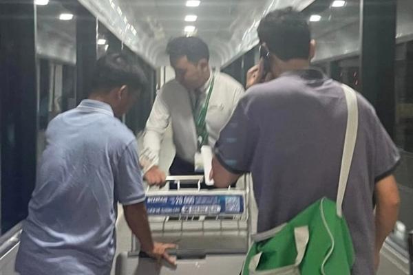 Từ chuyện ông Tây mua ngựa vàng mã: Luật có cấm mang lên máy bay?-3