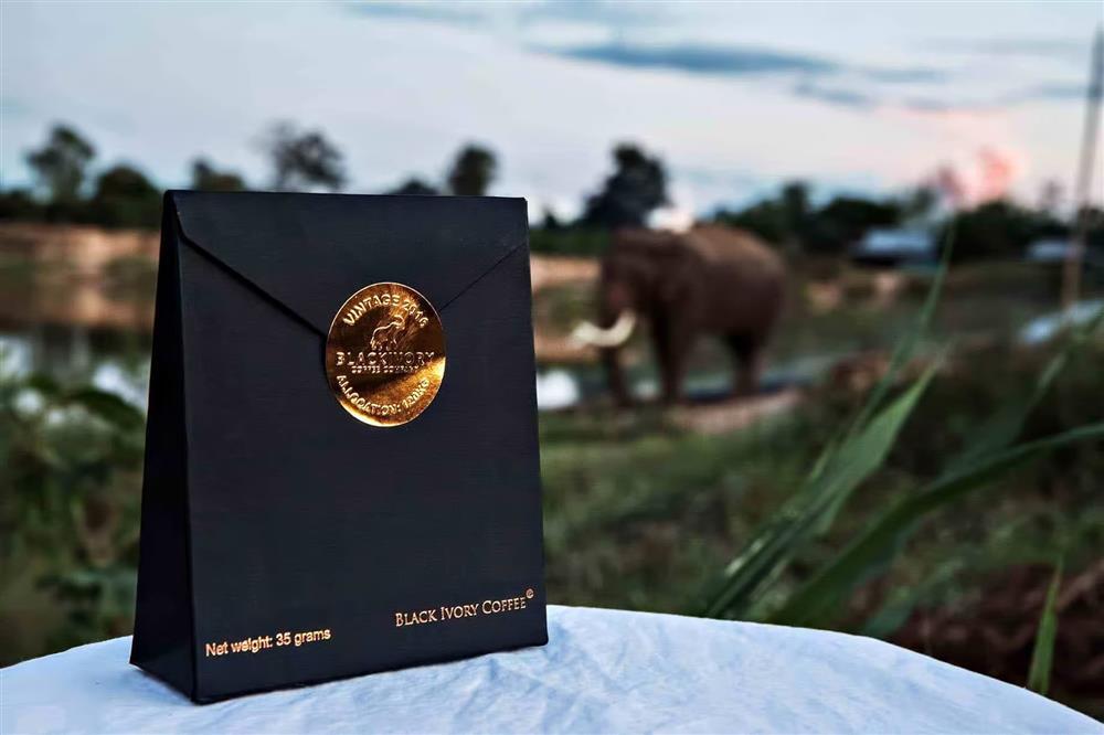 Cà phê phân voi giá hơn triệu đồng một ly trở thành đồ uống đắt đỏ nhất thế giới-4