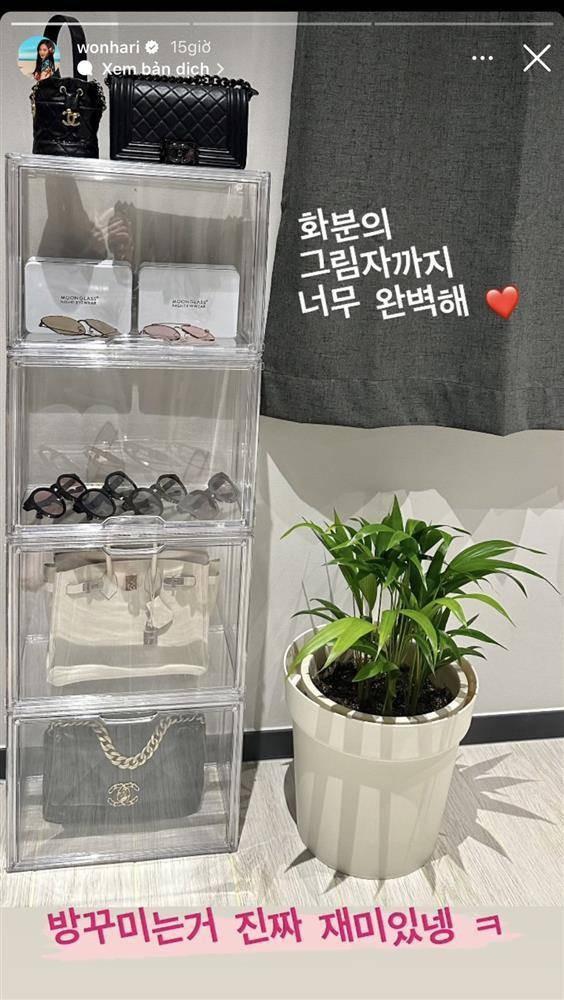 Làm vợ bố già trăm tỷ, gái Việt lai Hàn từng bị ép dùng đồ hiệu giờ tuyên bố shopping thấy đẹp là mua-3