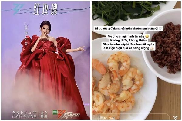 Chiếc túi nào đang được Chi Pu, Jennie yêu thích nhất?-8