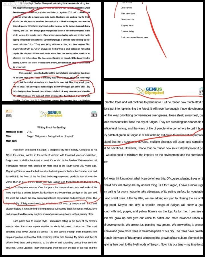 Nữ sinh TP.HCM tố bị đánh cắp bài thi ở Genius Olympiad: Sở GD&ĐT lên tiếng-1