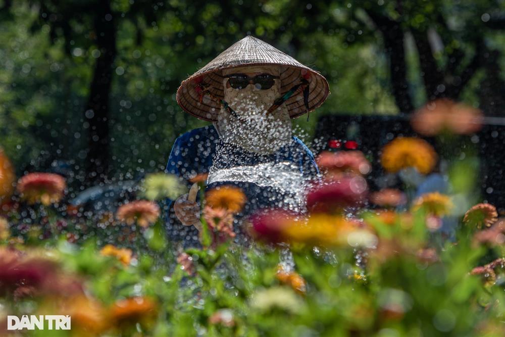 Hà Nội nắng nóng đỉnh điểm, đường phố vắng bóng người giữa trưa-13