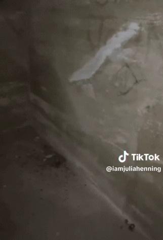 Mua nhà được 3 năm cô gái choáng váng khi phát hiện ra bí mật bên dưới-3