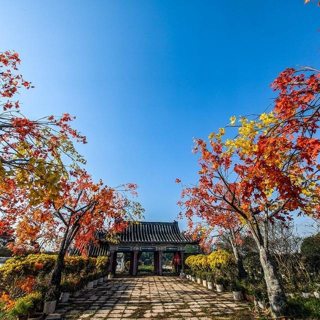 Về Hà Nội xem Blackpink đừng quên check in 20 địa điểm sau-2