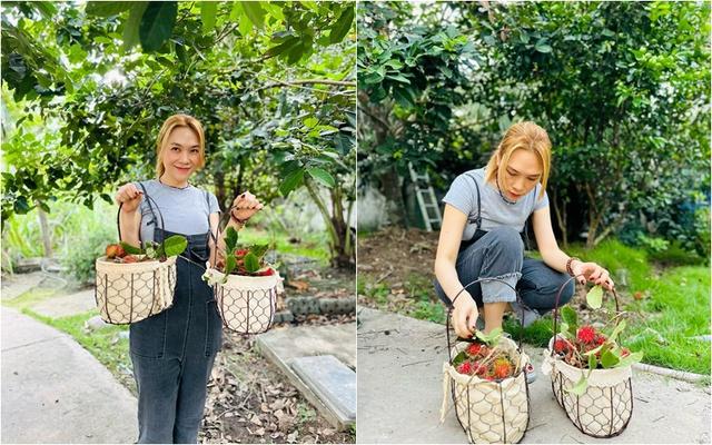 Cơ ngơi đi mỏi chân không hết của nữ ca sĩ vừa gây bão với nhan sắc không tuổi-4