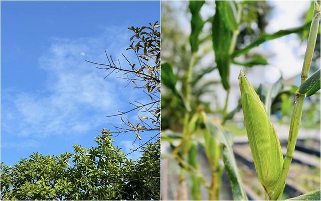 Cơ ngơi đi mỏi chân không hết của nữ ca sĩ vừa gây bão với nhan sắc không tuổi-9