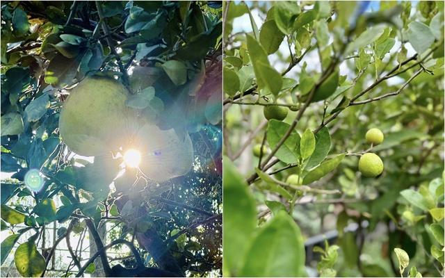 Cơ ngơi đi mỏi chân không hết của nữ ca sĩ vừa gây bão với nhan sắc không tuổi-8