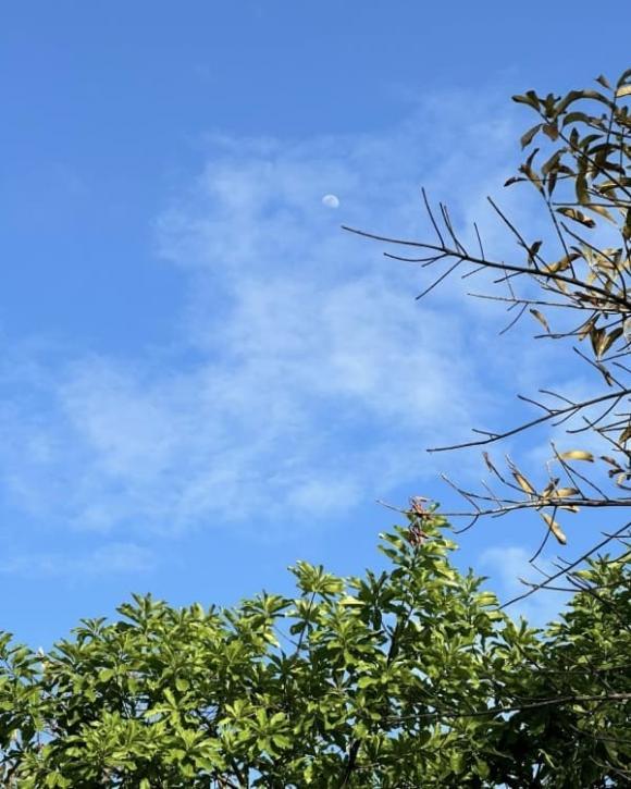 Cơ ngơi đi mỏi chân không hết của nữ ca sĩ vừa gây bão với nhan sắc không tuổi-12