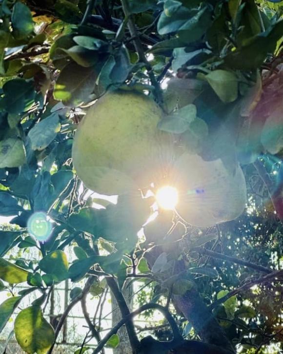 Cơ ngơi đi mỏi chân không hết của nữ ca sĩ vừa gây bão với nhan sắc không tuổi-14