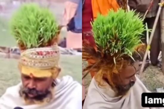'Quái nhân' trồng cả vườn cỏ trên đầu gây sốt mạng xã hội