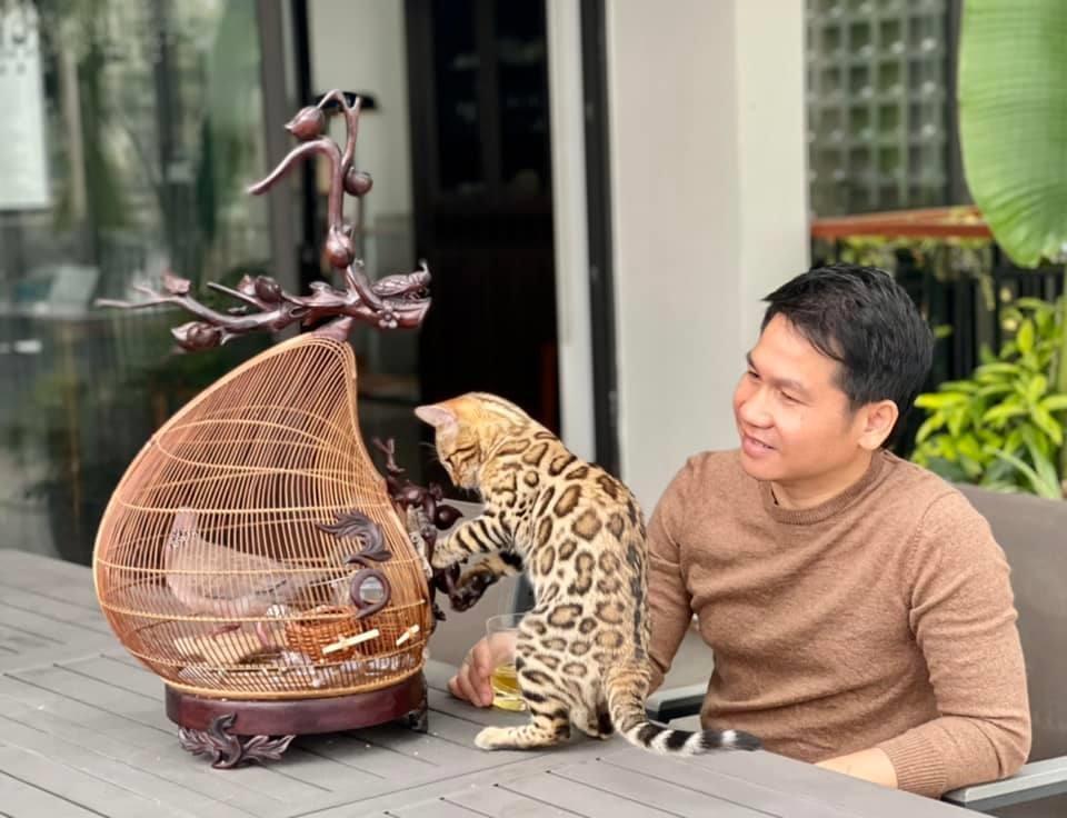 Nhà vườn ở Thanh Hóa từng gây xôn xao của Vua nhạc đỏ vụt sáng nhờ Sao Mai-8