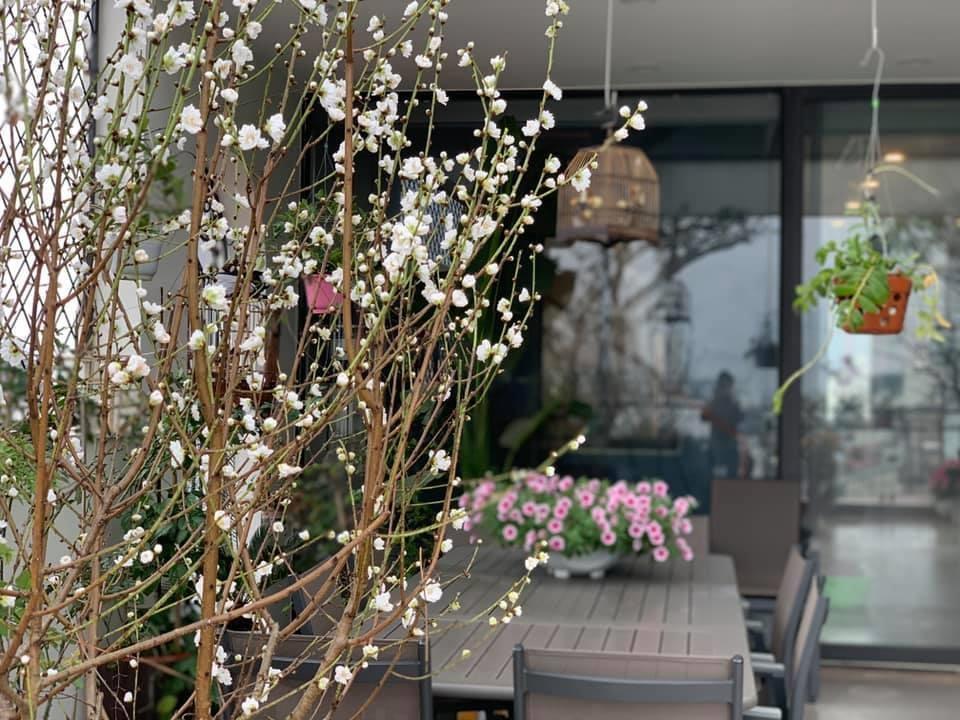 Nhà vườn ở Thanh Hóa từng gây xôn xao của Vua nhạc đỏ vụt sáng nhờ Sao Mai-16