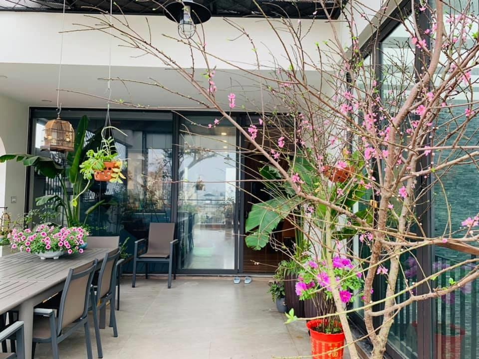 Nhà vườn ở Thanh Hóa từng gây xôn xao của Vua nhạc đỏ vụt sáng nhờ Sao Mai-18