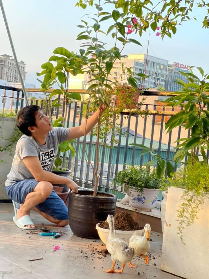 Nhà vườn ở Thanh Hóa từng gây xôn xao của Vua nhạc đỏ vụt sáng nhờ Sao Mai-19
