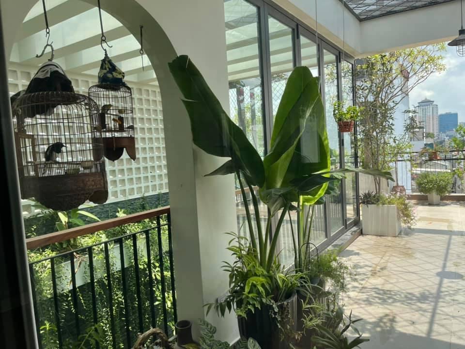 Nhà vườn ở Thanh Hóa từng gây xôn xao của Vua nhạc đỏ vụt sáng nhờ Sao Mai-21