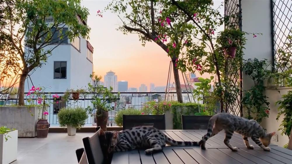 Nhà vườn ở Thanh Hóa từng gây xôn xao của Vua nhạc đỏ vụt sáng nhờ Sao Mai-22