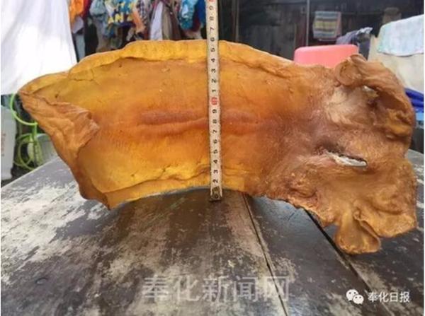 Ngư dân phơi bong bóng cá rồi bỏ quên, 38 năm sau biến thành thứ giá trị tiền tỷ-2