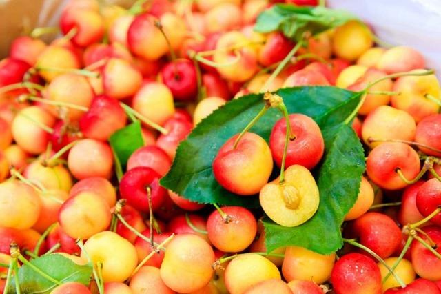 Không phải cherry đỏ, loại cherry đặc biệt này đang gây sốt thị trường-2