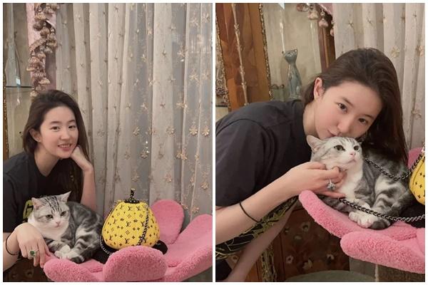 Loạt nam thần xứ Hàn lão hóa ngược, bạn trai duy nhất của Lưu Diệc Phi vẫn là số 1?-16