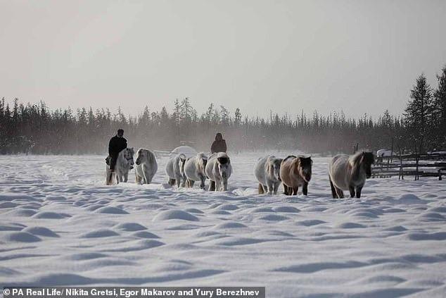 Tuyến đường bộ dài nhất thế giới có gì đáng sợ mà chưa một ai dám đi?-5