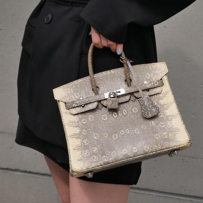 6 mẫu túi Hermès Birkin có giá hàng tỷ đồng, quý hiếm nhất thế giới-8