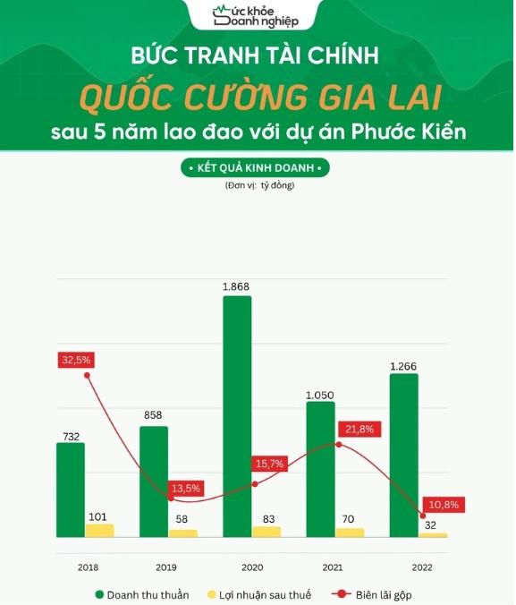 Soi sức khỏe công ty địa ốc nhà Cường Đô La-1