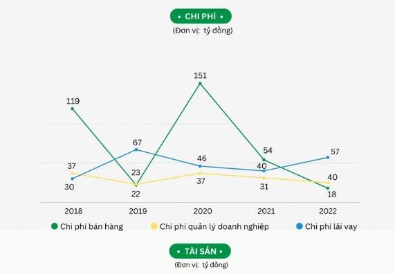 Soi sức khỏe công ty địa ốc nhà Cường Đô La-2