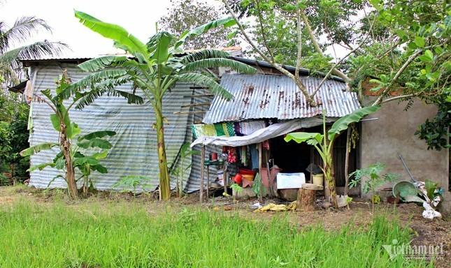 Tiết lộ về chú chó già 6 năm canh mộ cậu chủ ở Long An-6