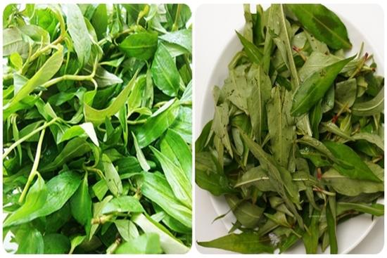 Rau răm có công dụng gì?