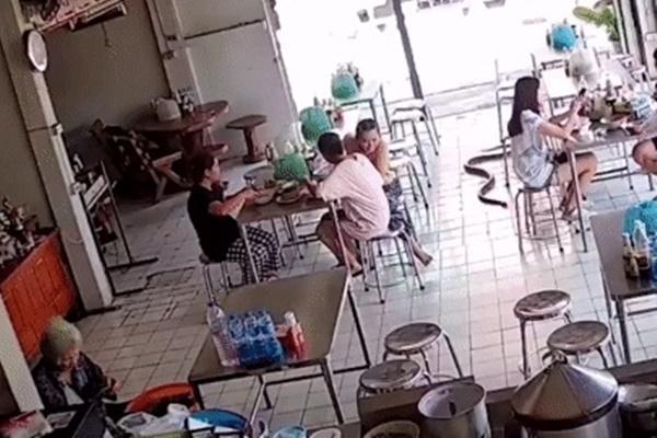 Thực khách sốc khi nhận hoá đơn hơn 23 triệu đồng vì một con cua-2